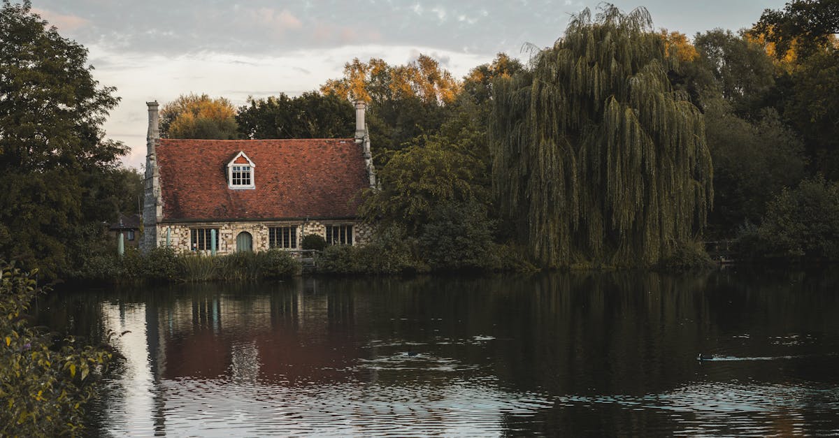 Maintenance Tips for Flat Roofs in the UK