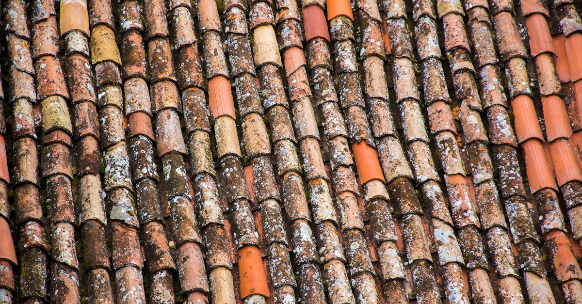 Understanding the Cost Factors of Flat Roof Repairs